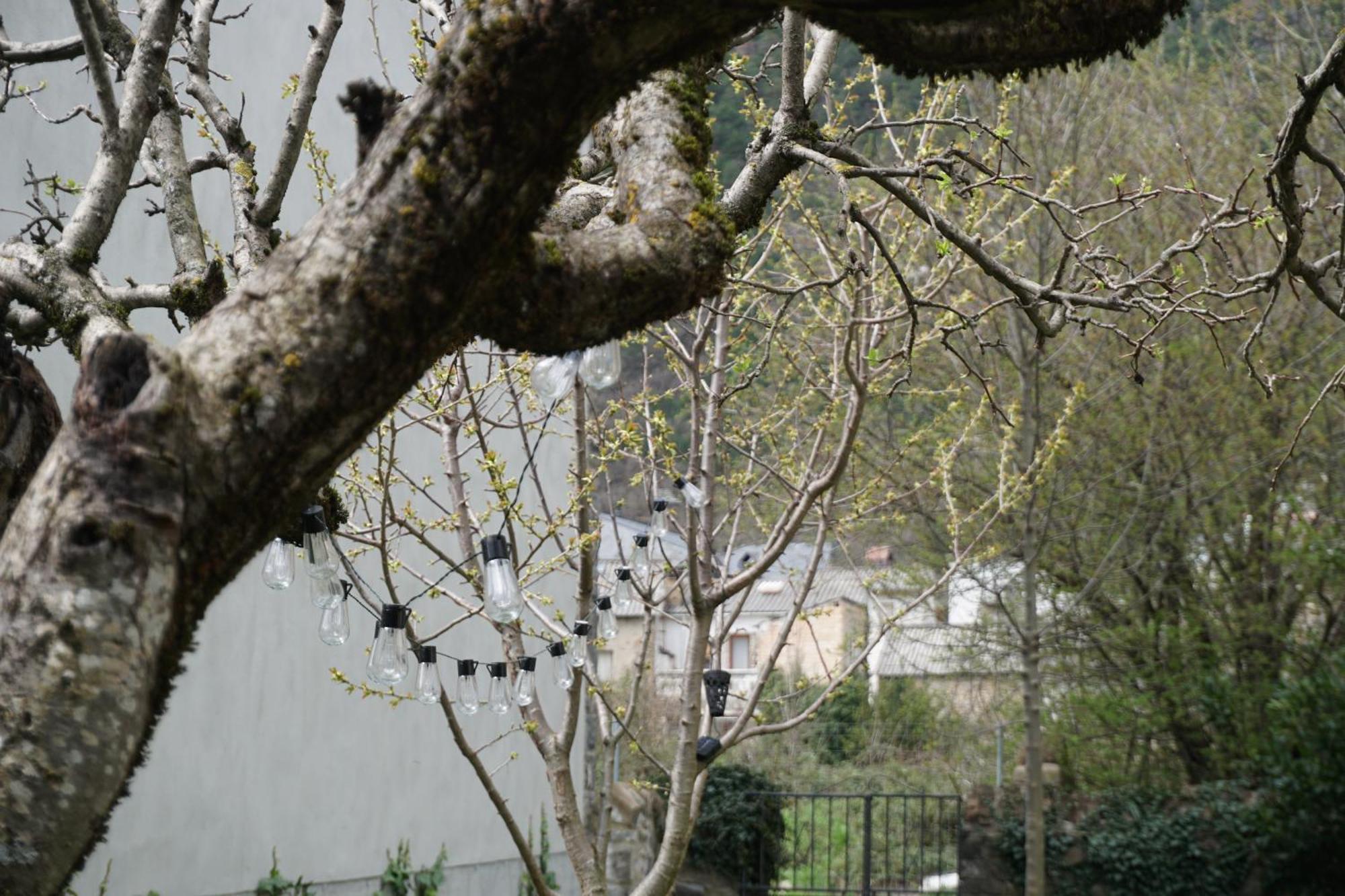 Villa Cirjuana, casa en el centro con agradable jardín y barbacoa Biescas  Exterior foto